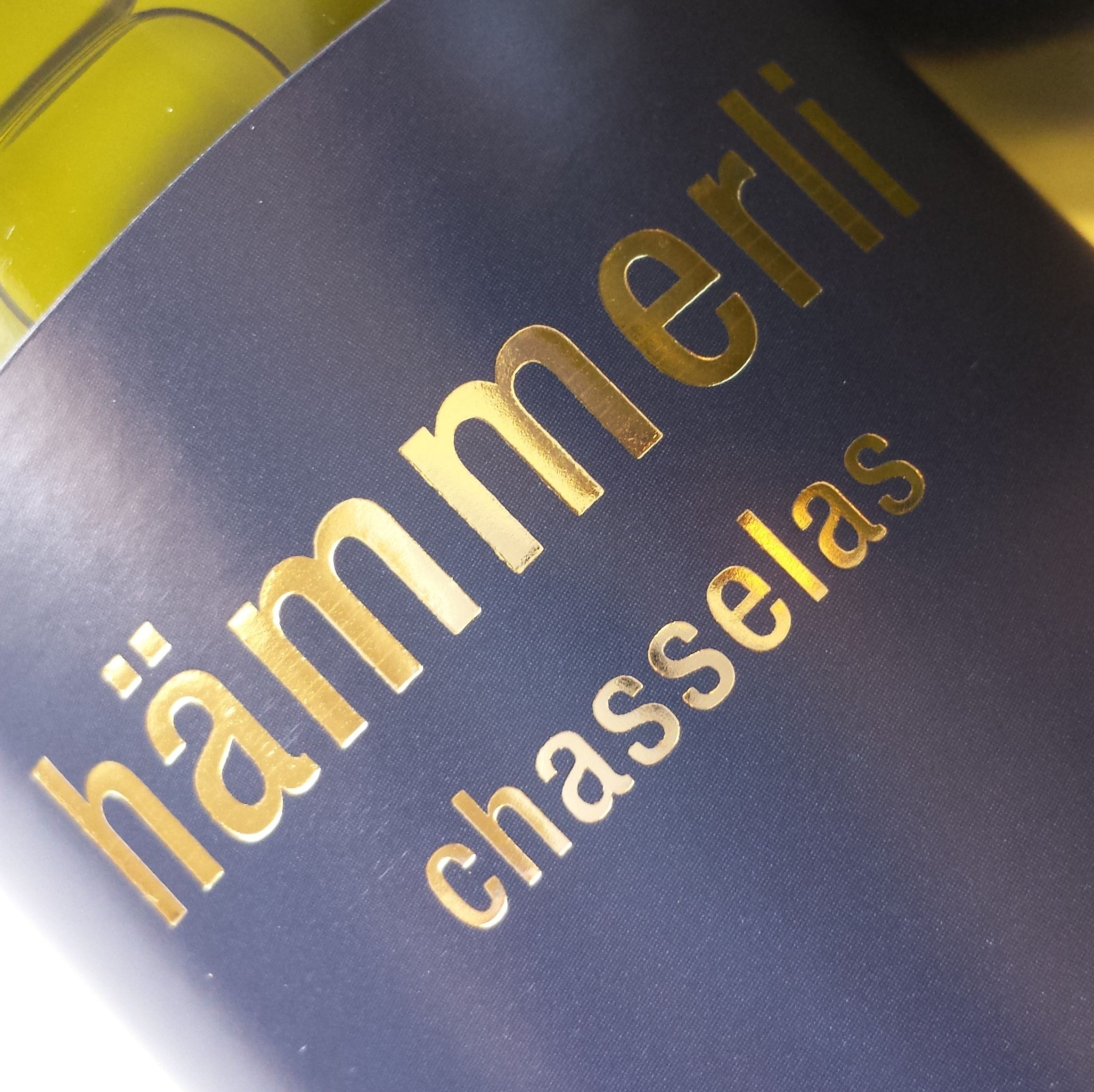 Hämmerli Chasselas